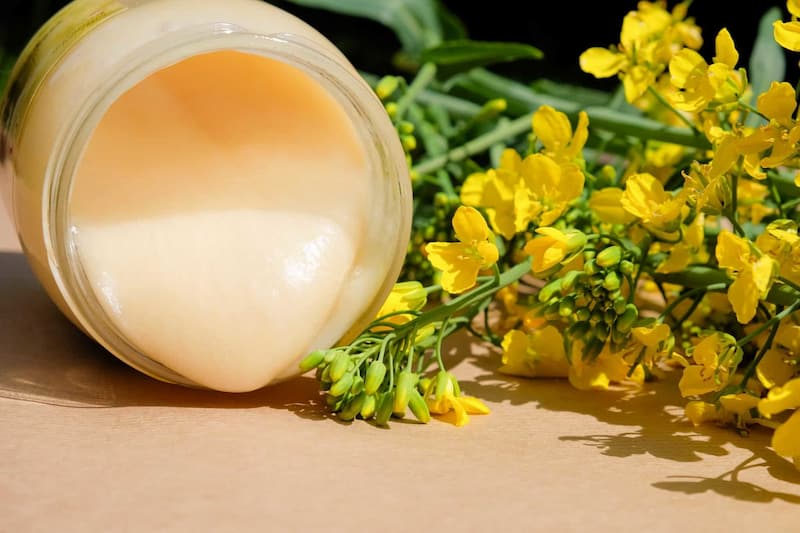 ژل رویال حکمت محصولی خالص با استانداردهای بهداشتی